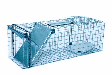 Felle for Levende fangst 50x17x20