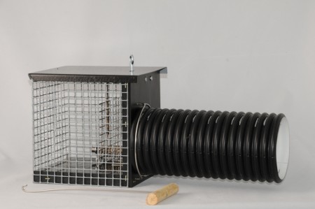 Syning mår bakkesett