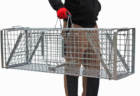 Medium levende felle for dyr på størrelse med rev og grevling. Ekstra forsterket. 120x34x34cm