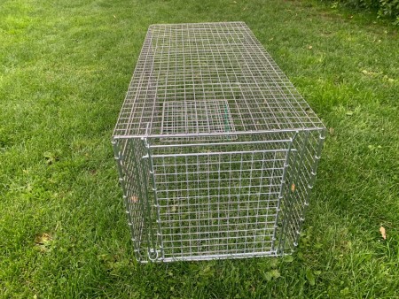 Syningfella grevling